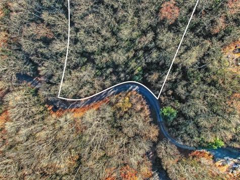 Tbd Dundee Lane Pisgah Forest NC 28768