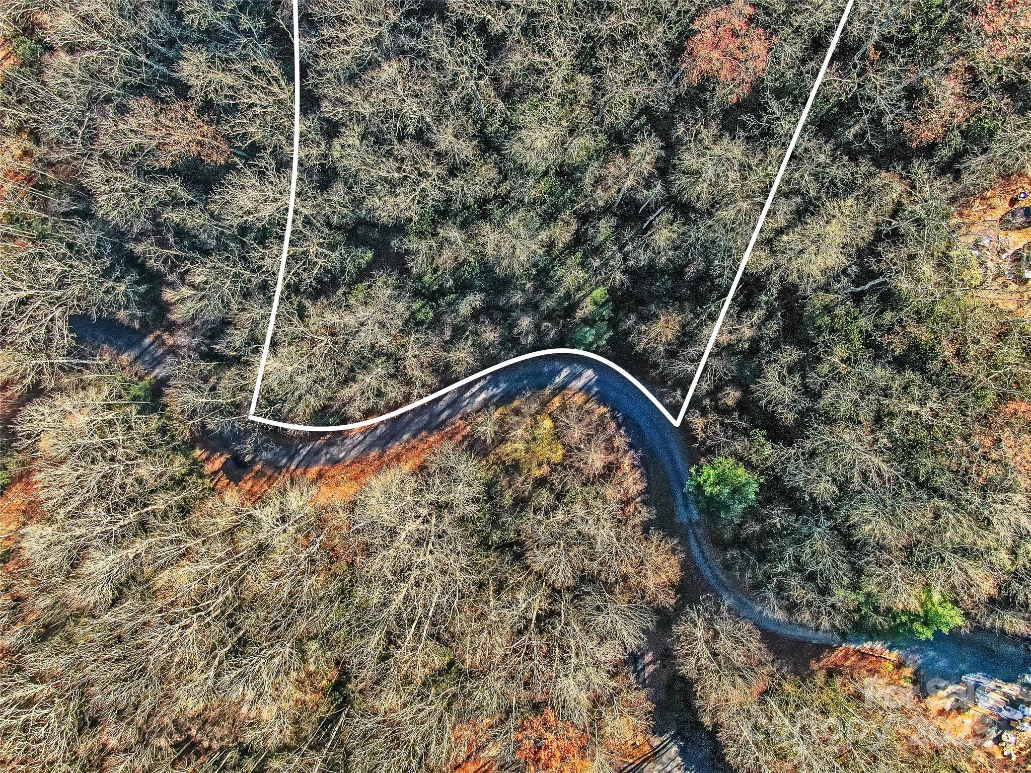 Tbd Dundee Lane Pisgah Forest NC 28768