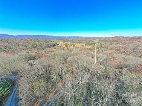 Tbd Dundee Lane Pisgah Forest NC 28768