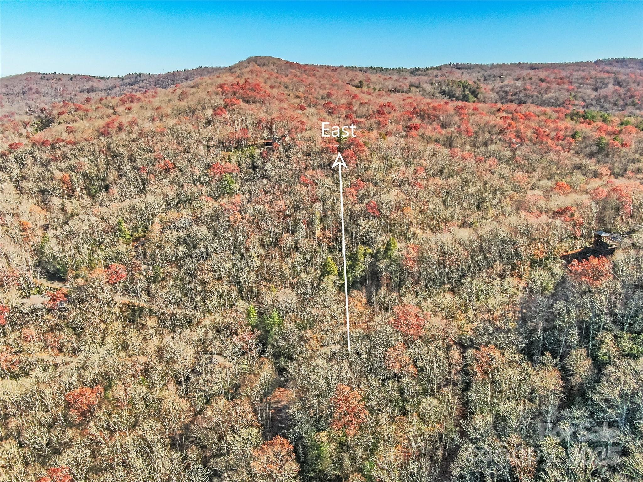 Tbd Dundee Lane Pisgah Forest NC 28768