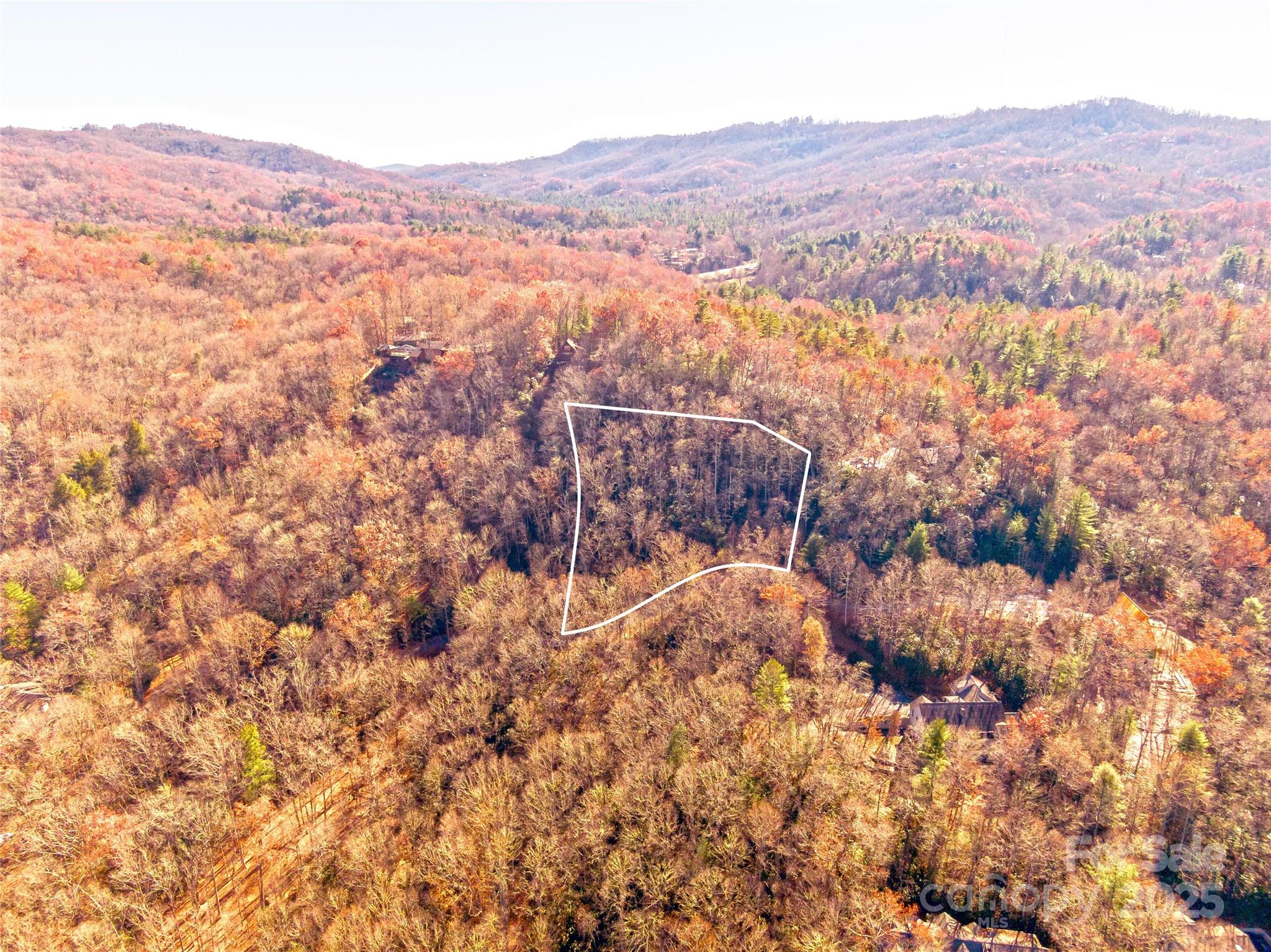 Tbd Dundee Lane Pisgah Forest NC 28768