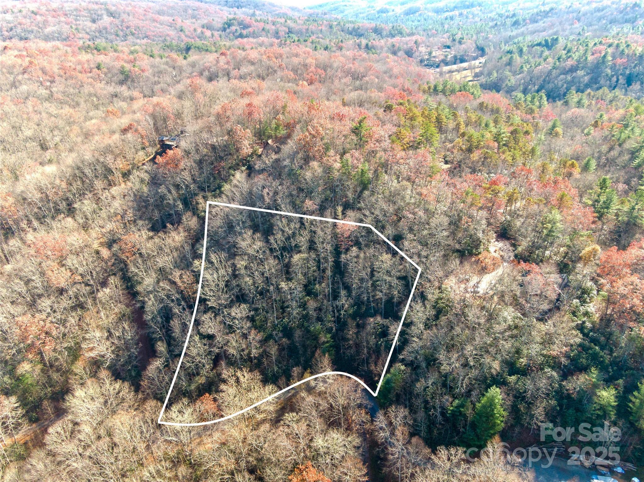 Tbd Dundee Lane Pisgah Forest NC 28768