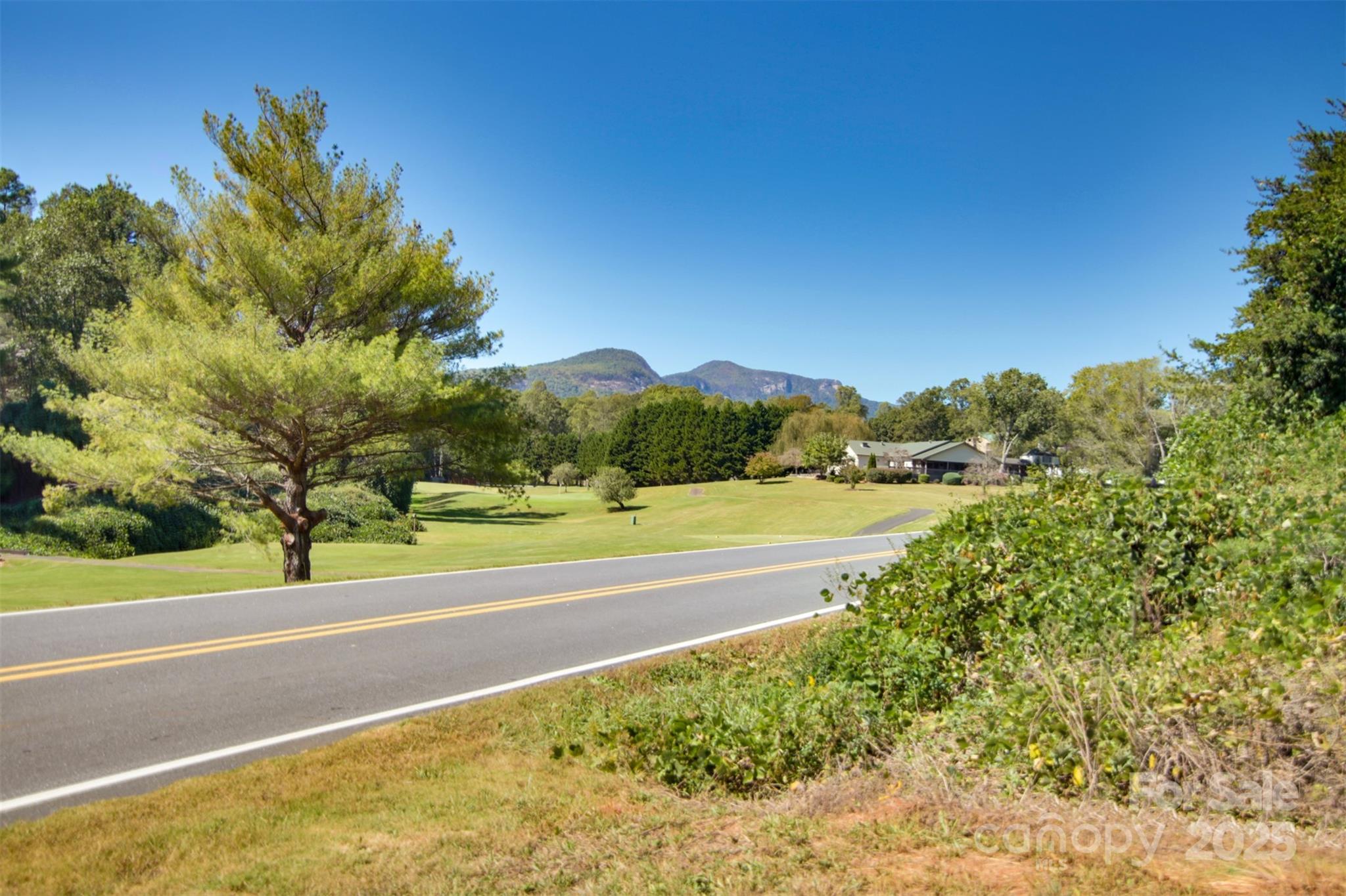Lot 13 Buffalo Creek Road Lake Lure NC 28746
