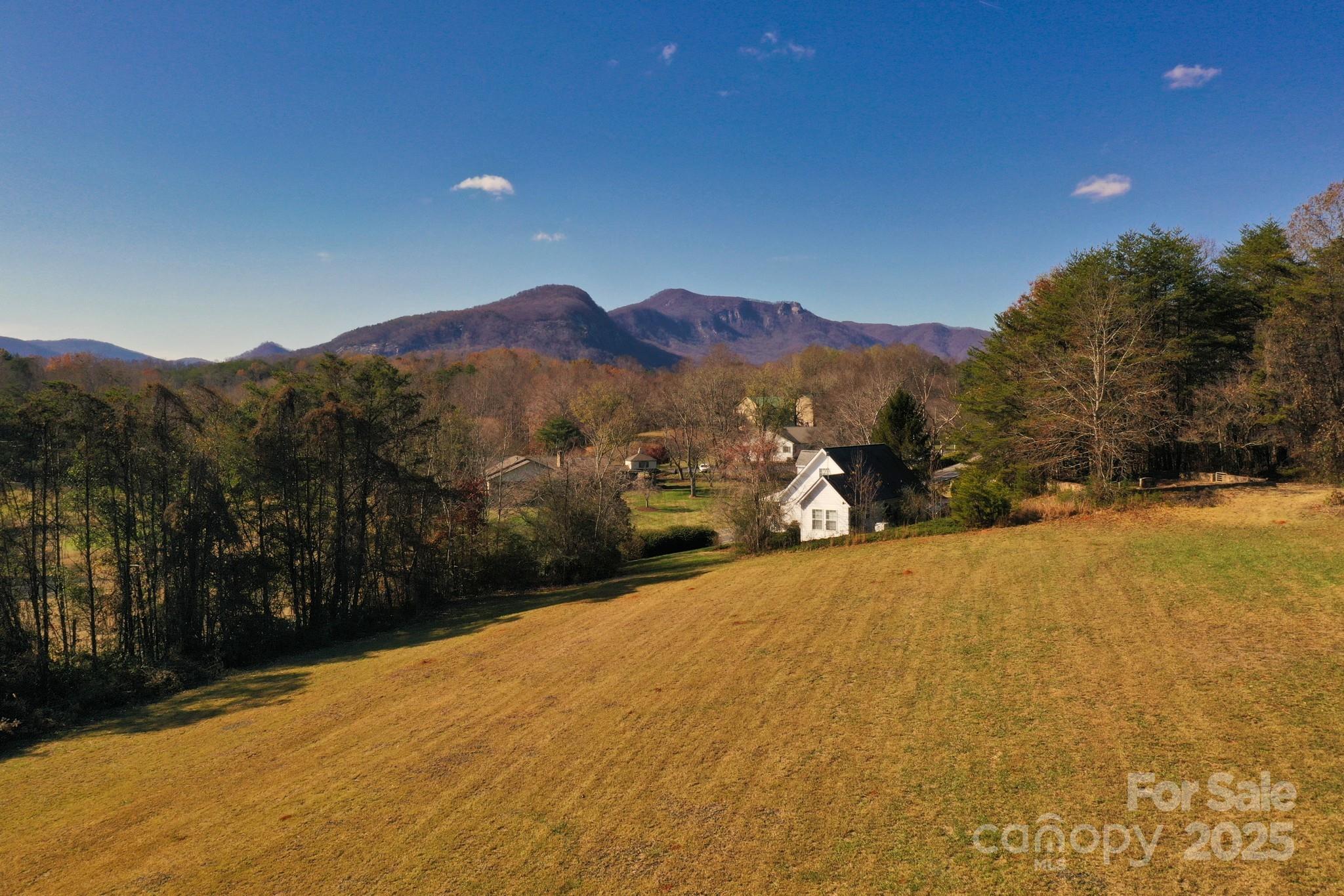 Lot 13 Buffalo Creek Road Lake Lure NC 28746