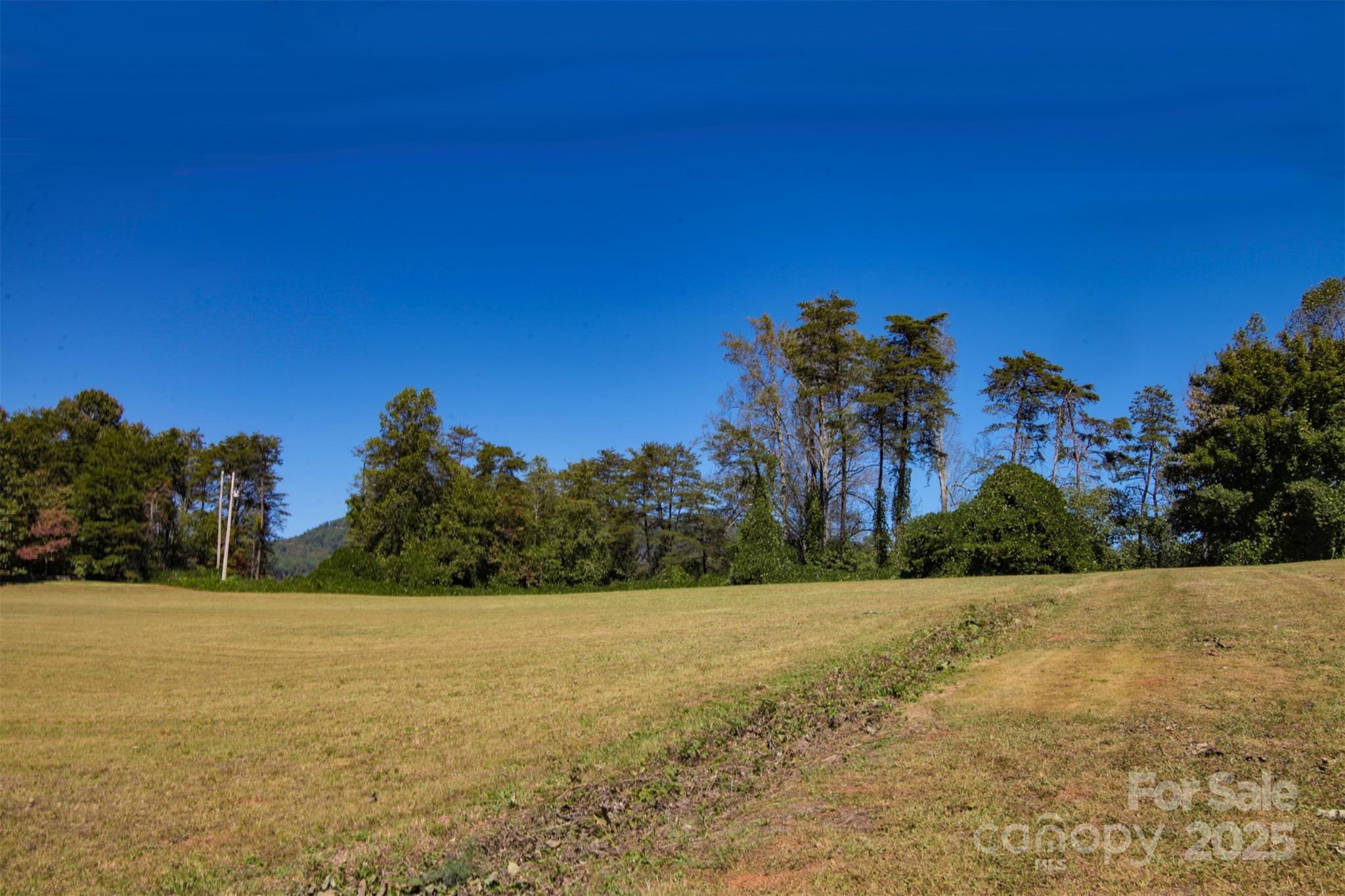 Lot 13 Buffalo Creek Road Lake Lure NC 28746