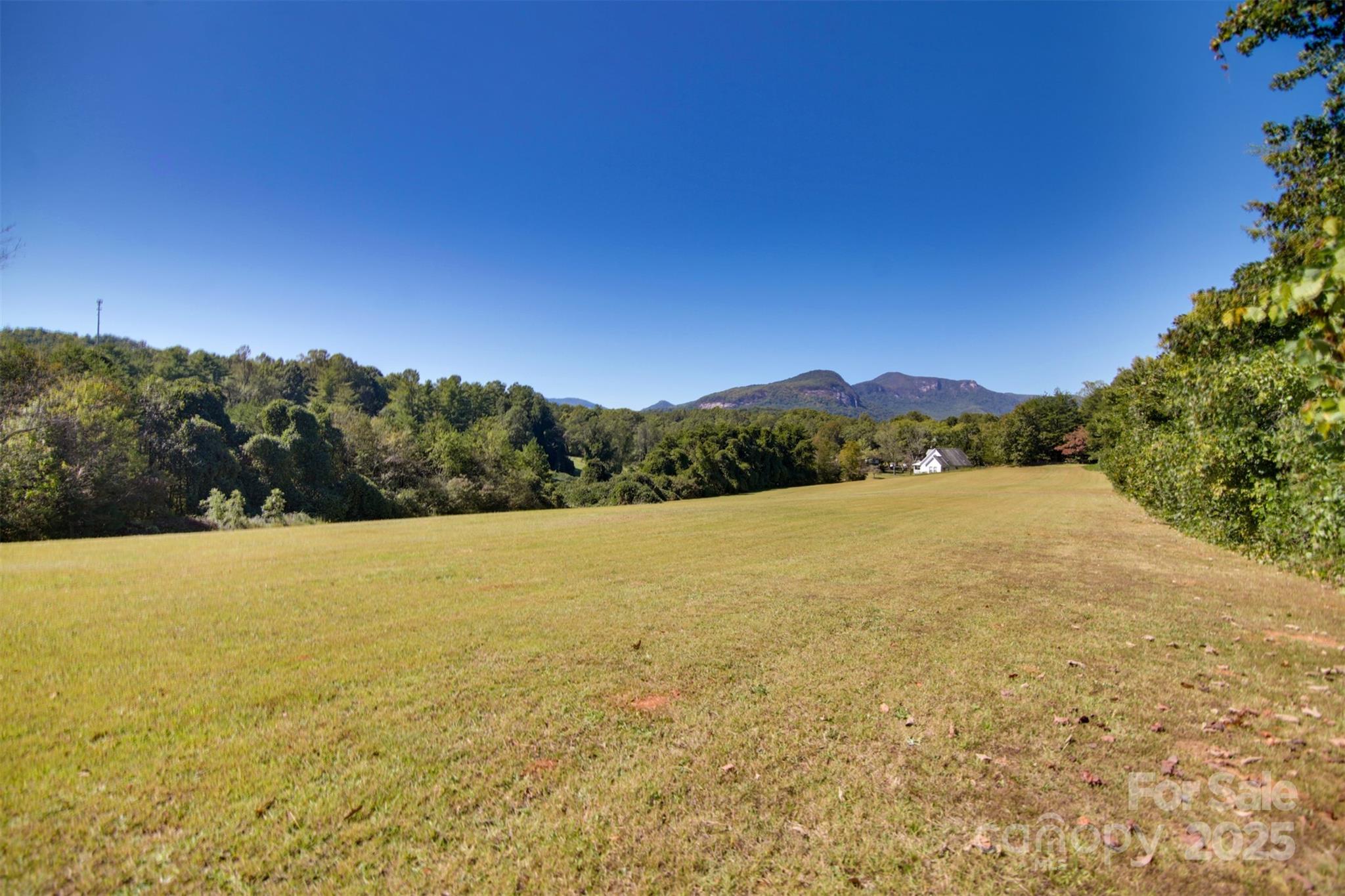 Lot 13 Buffalo Creek Road Lake Lure NC 28746