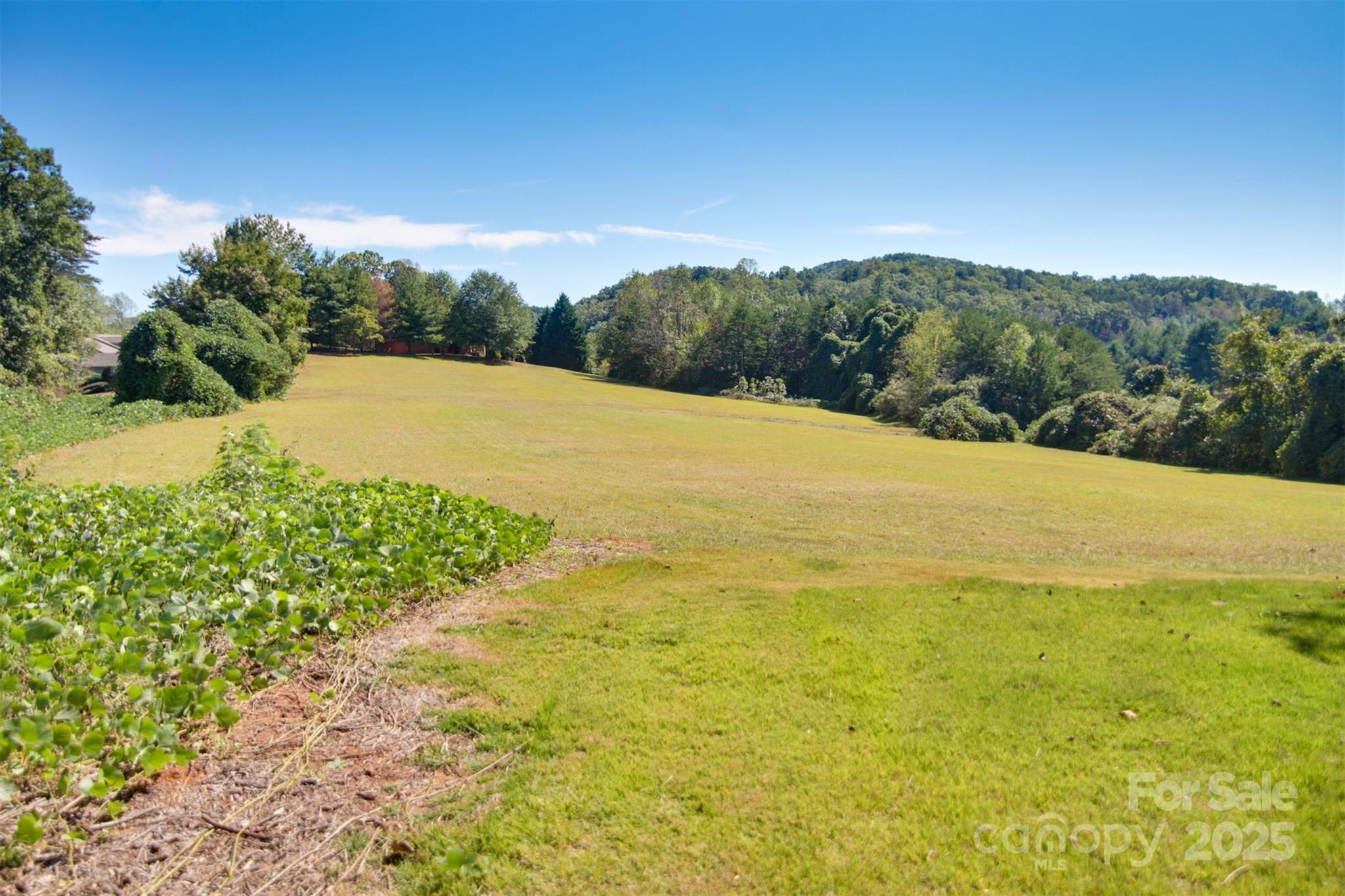 Lot 13 Buffalo Creek Road Lake Lure NC 28746