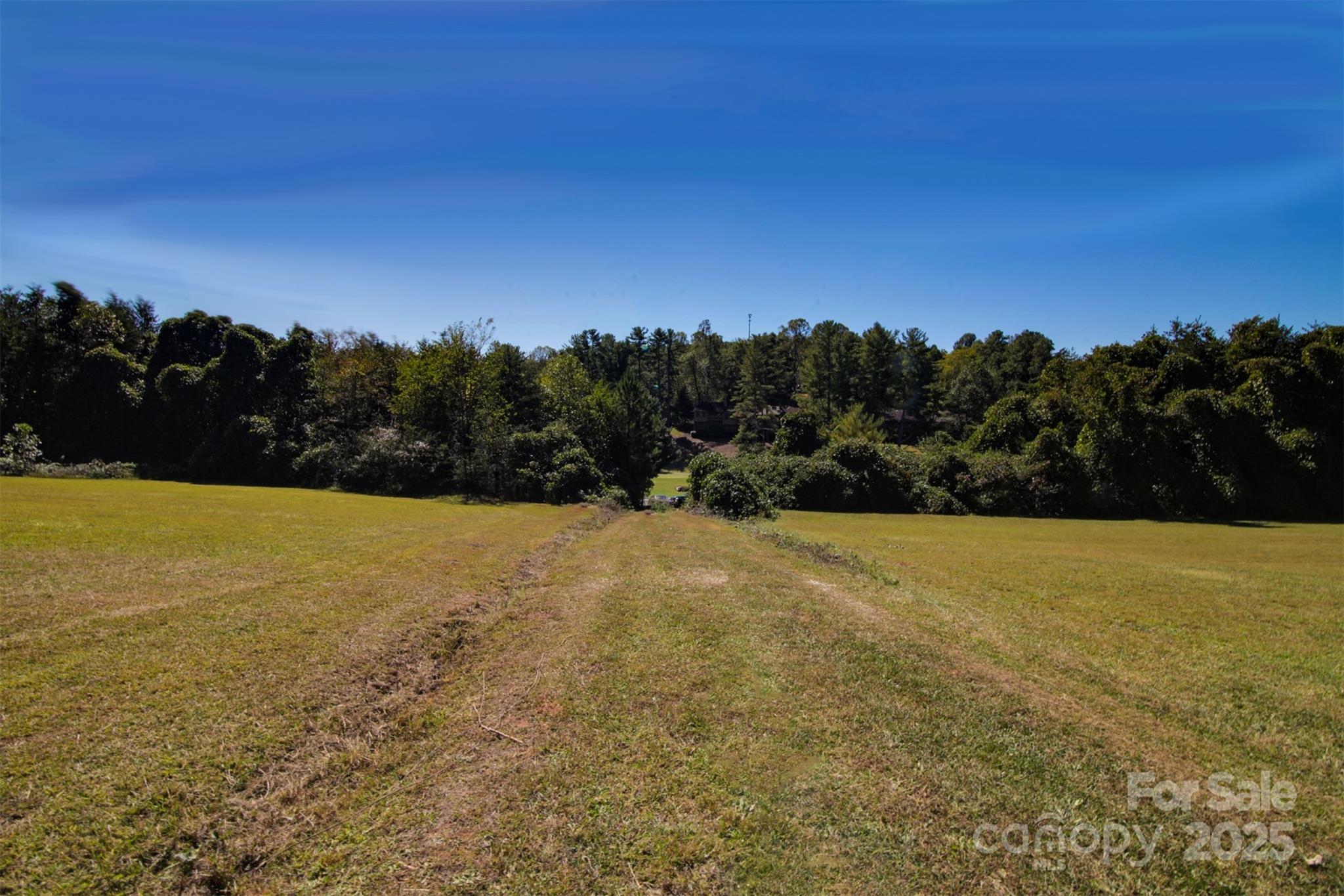 Lot 13 Buffalo Creek Road Lake Lure NC 28746
