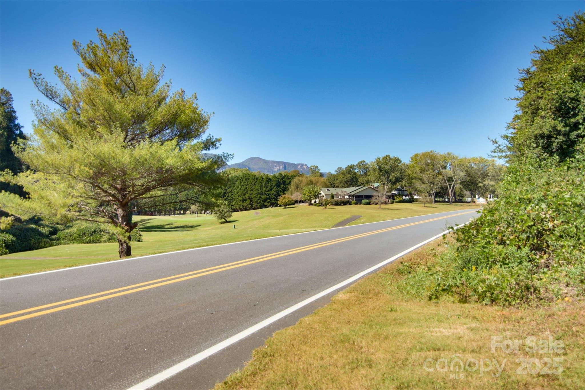 Lot 13 Buffalo Creek Road Lake Lure NC 28746
