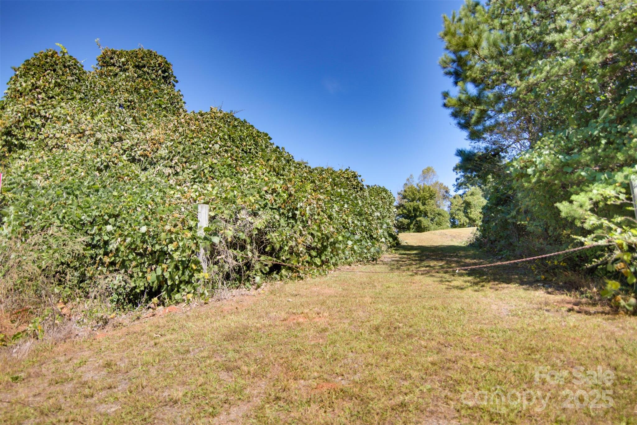 Lot 13 Buffalo Creek Road Lake Lure NC 28746