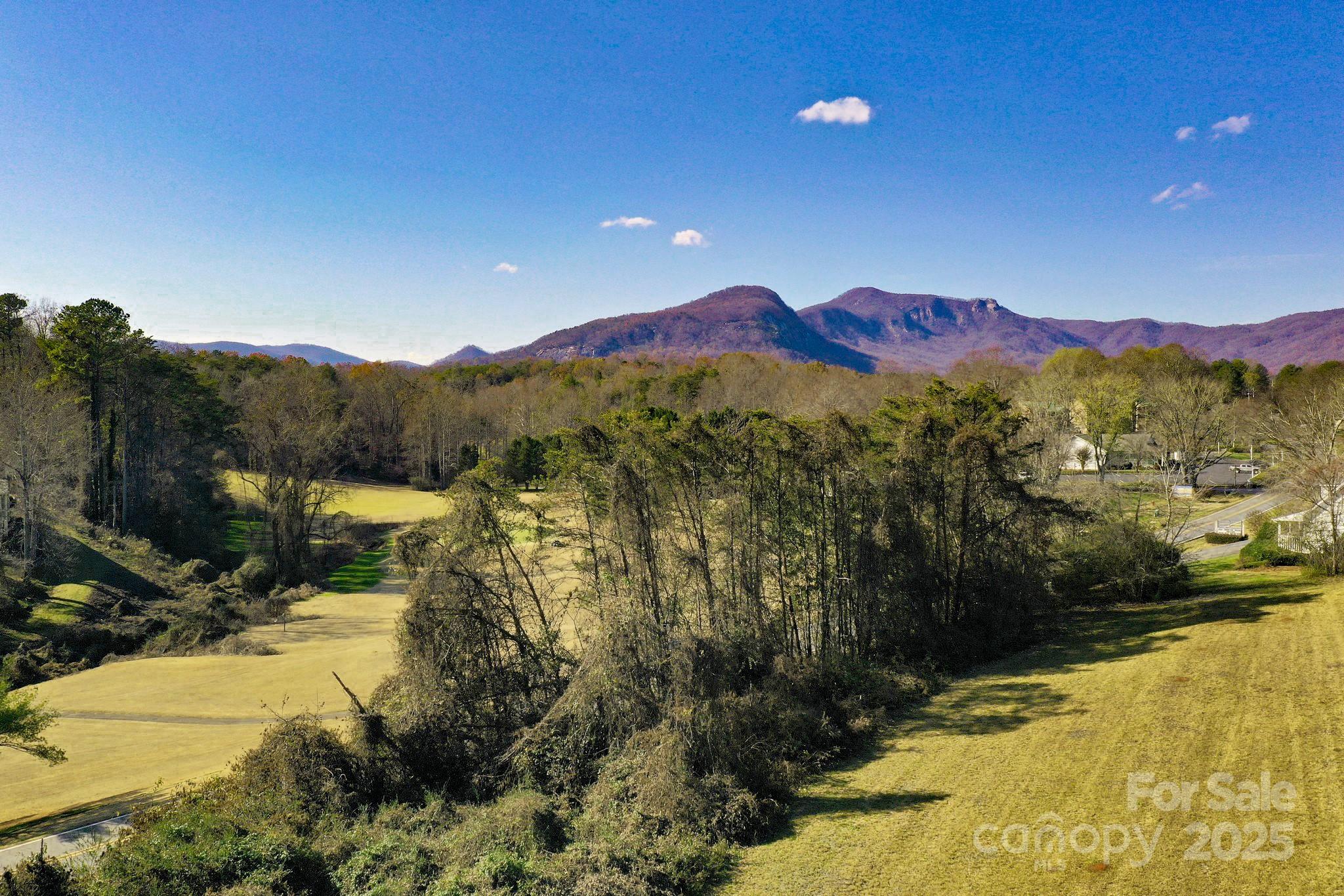 Lot 13 Buffalo Creek Road Lake Lure NC 28746