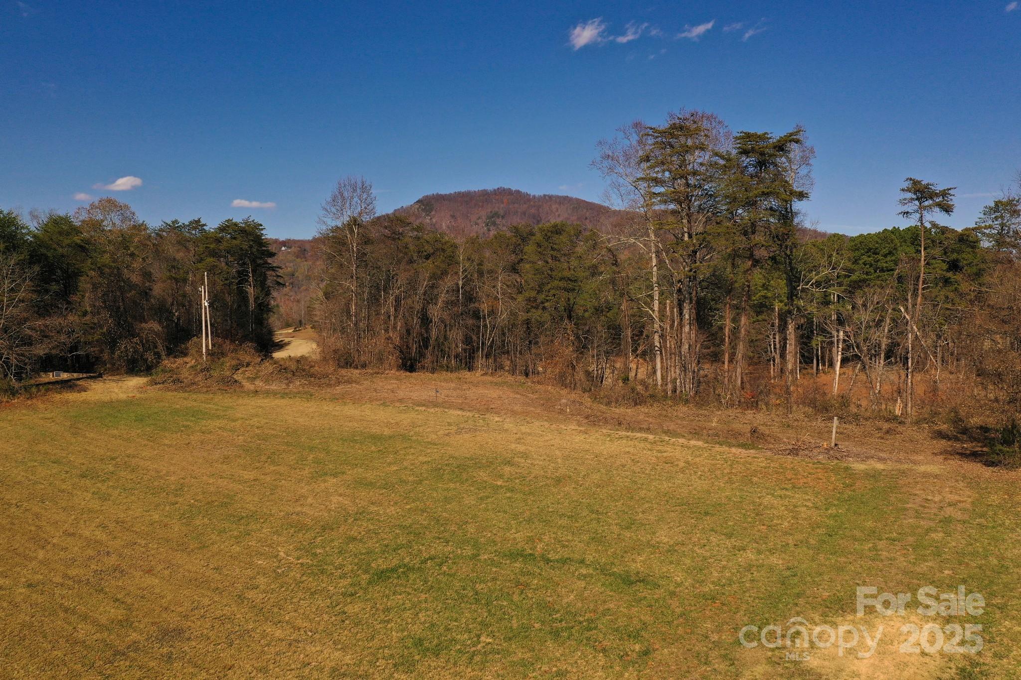 Lot 13 Buffalo Creek Road Lake Lure NC 28746