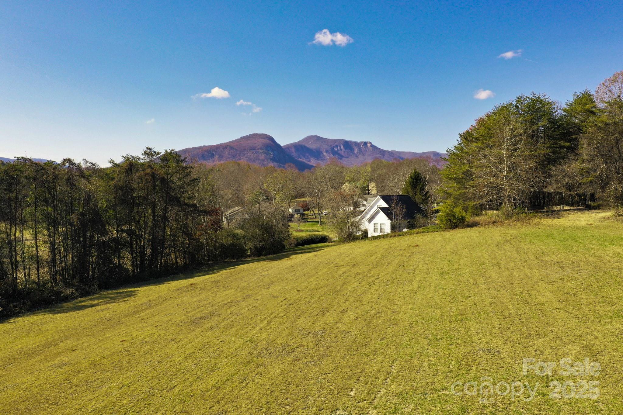 Lot 13 Buffalo Creek Road Lake Lure NC 28746