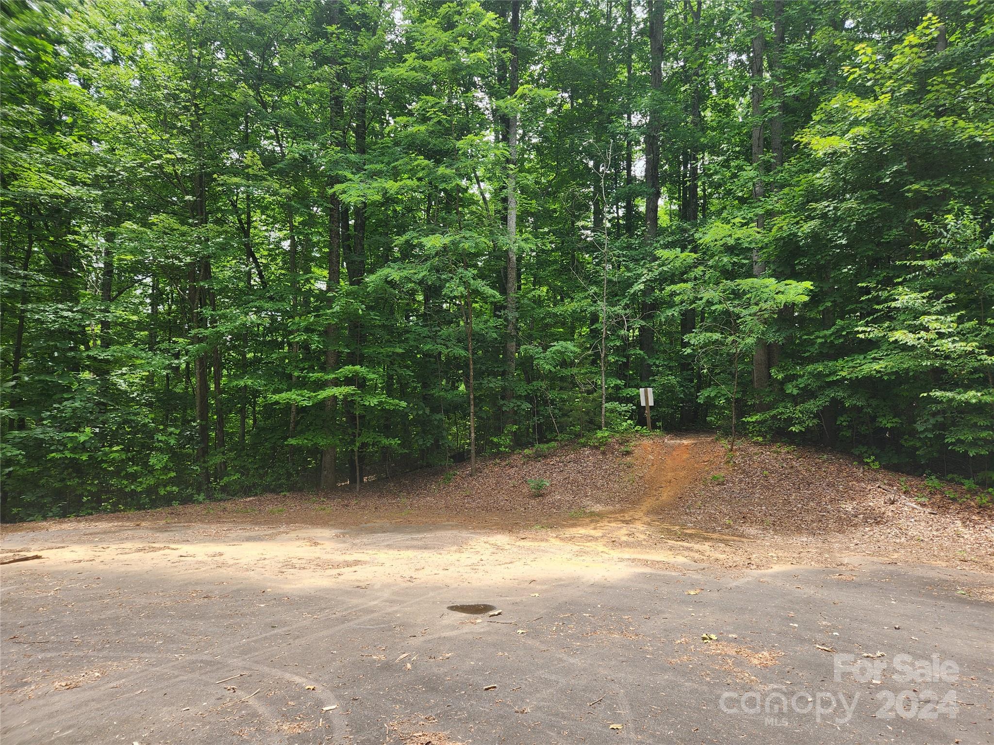 00 Trail Ridge Drive Marion NC 28752