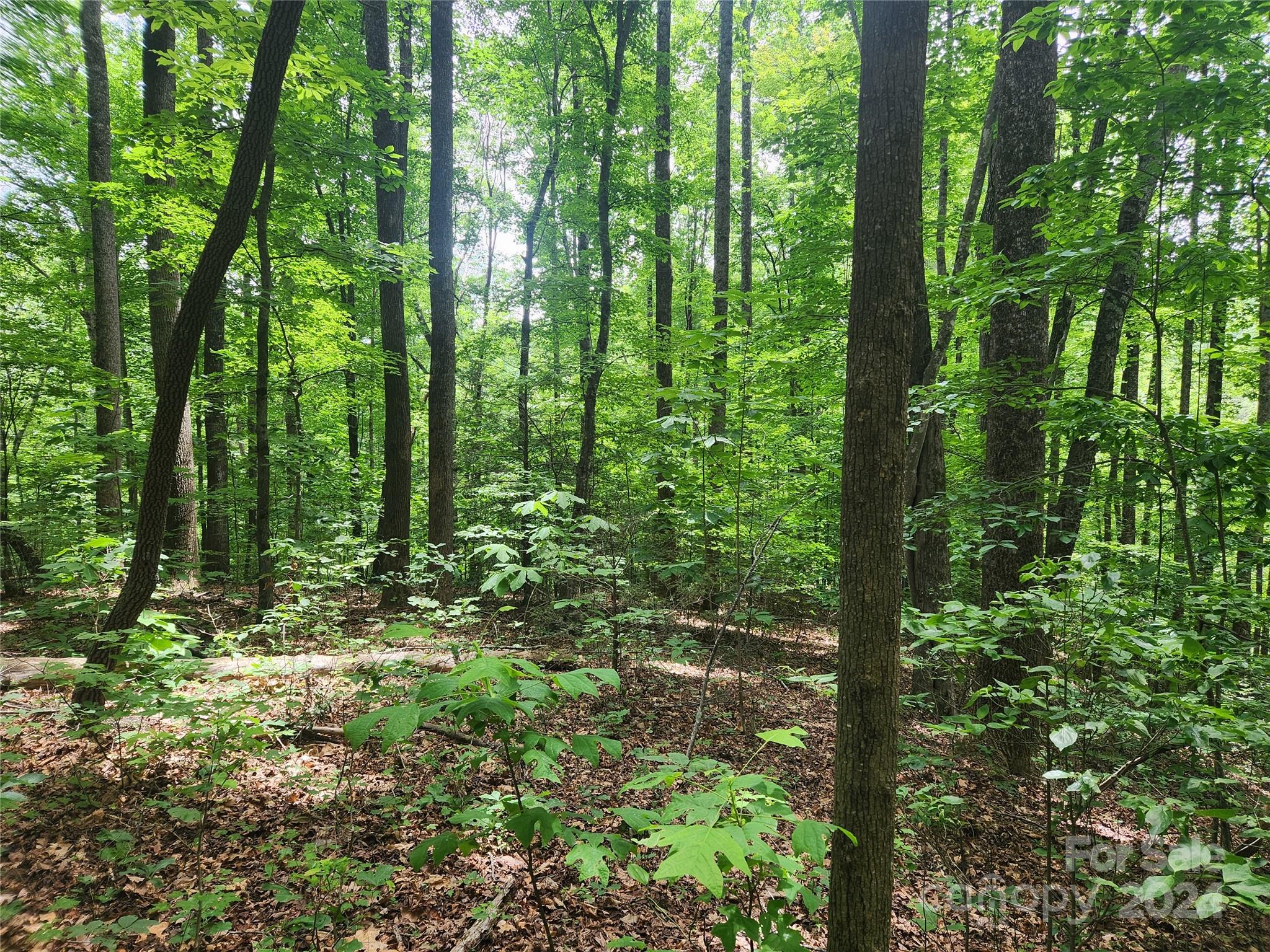 00 Trail Ridge Drive Marion NC 28752