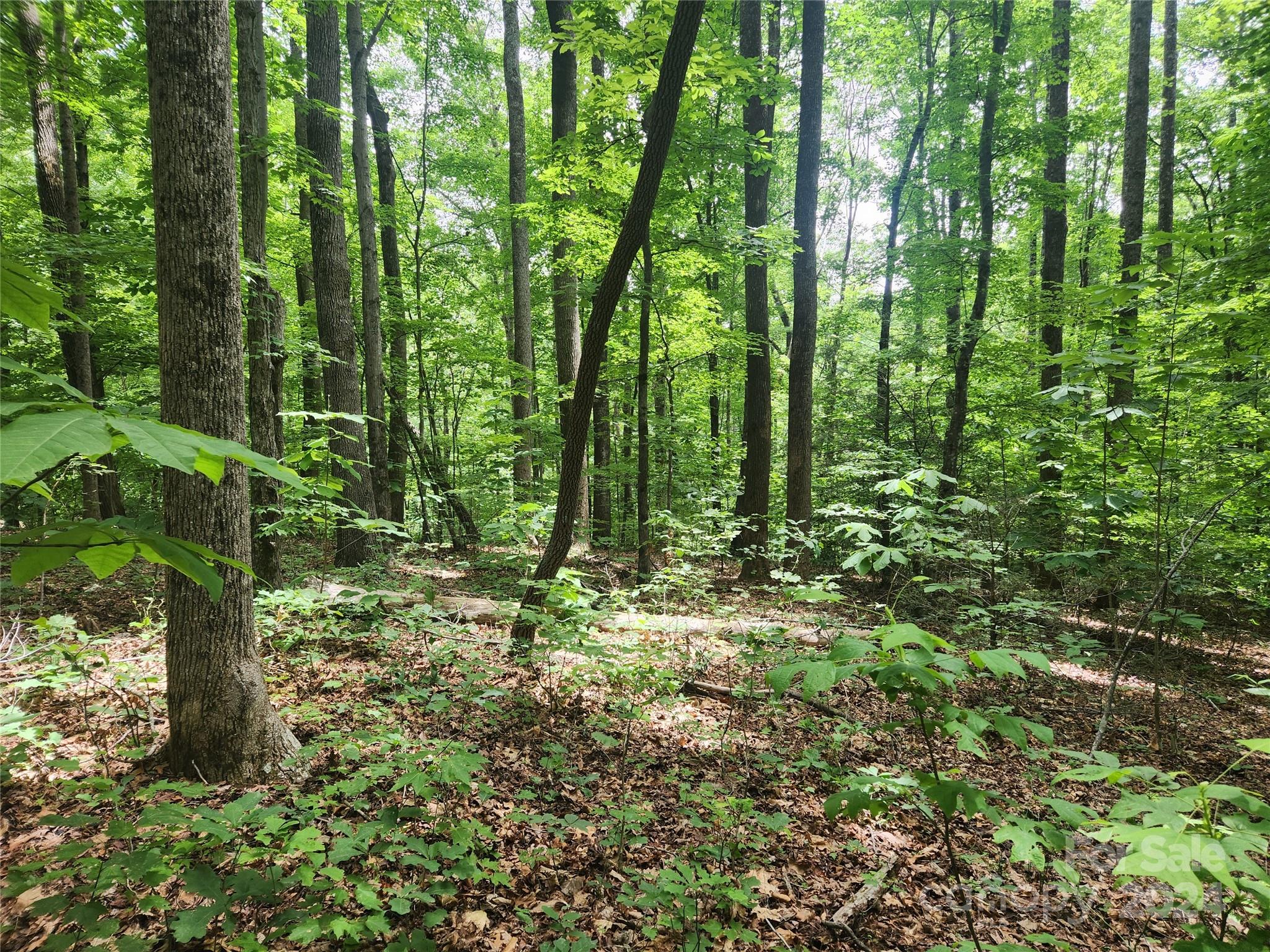 00 Trail Ridge Drive Marion NC 28752