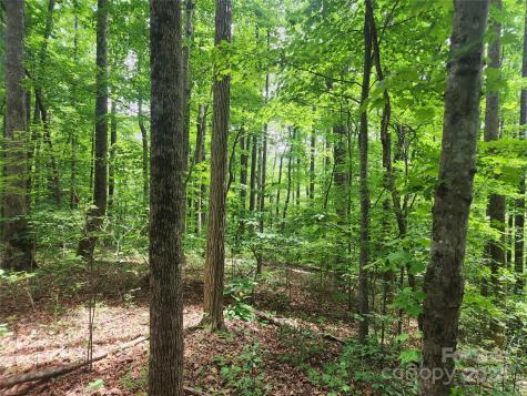 00 Trail Ridge Drive Marion NC 28752