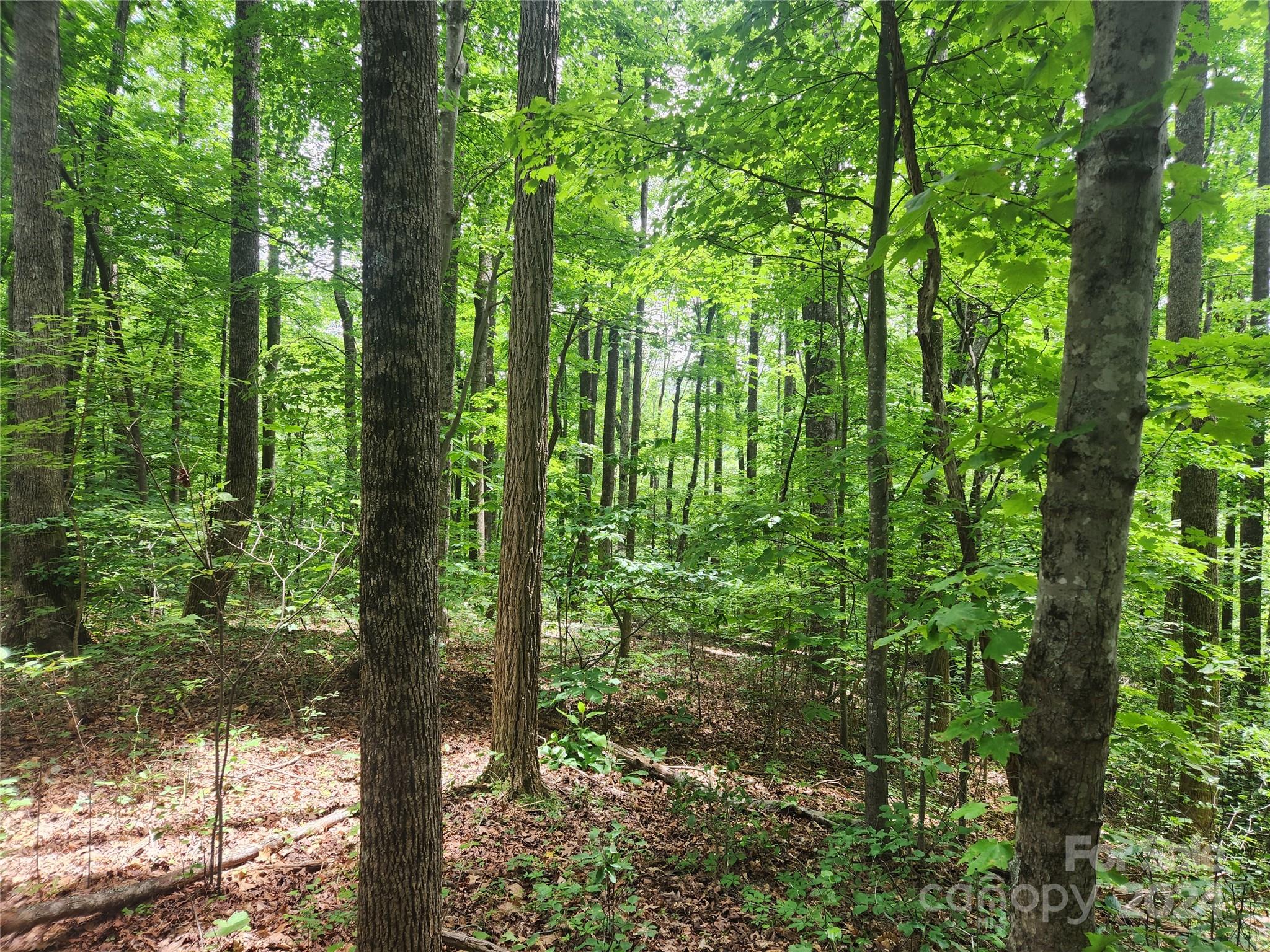 00 Trail Ridge Drive Marion NC 28752