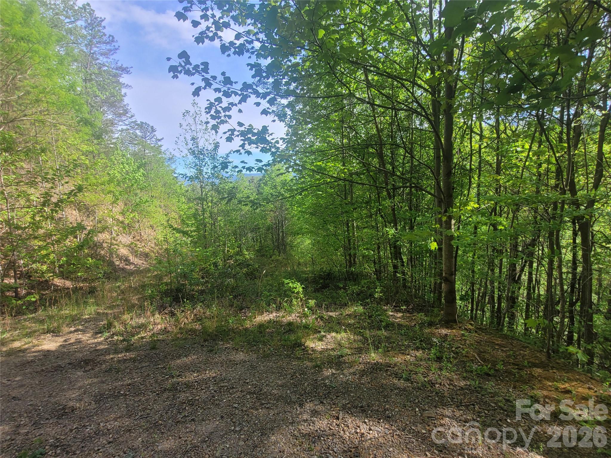 99999 Wolverine Court Waynesville NC 28785