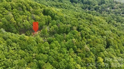 99999 Wolverine Court Waynesville NC 28785