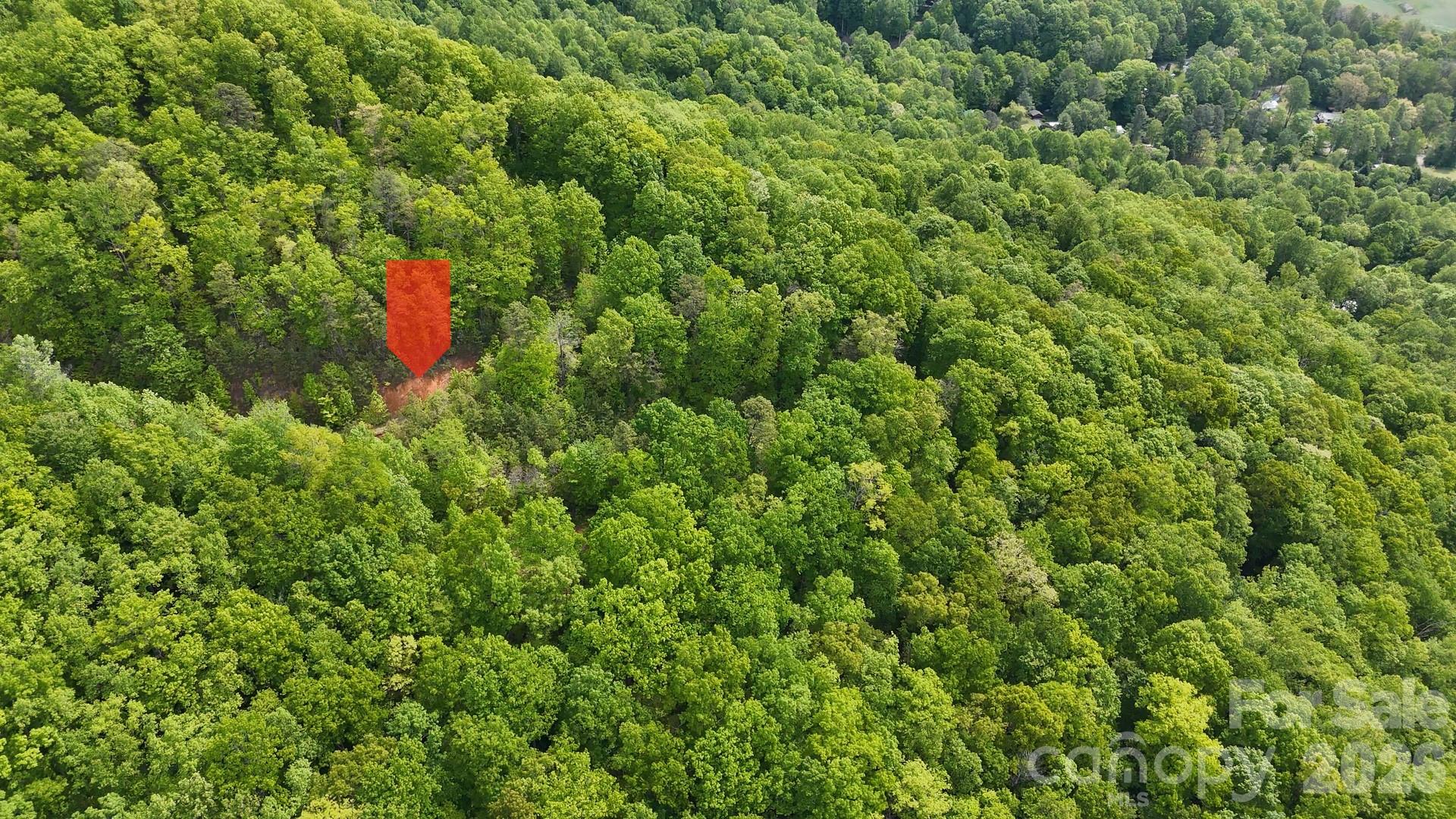 99999 Wolverine Court Waynesville NC 28785