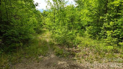 99999 Wolverine Court Waynesville NC 28785