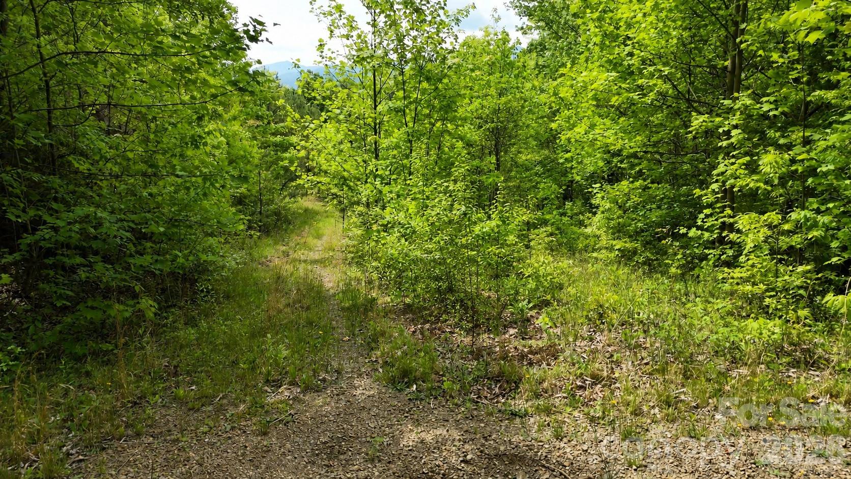 99999 Wolverine Court Waynesville NC 28785