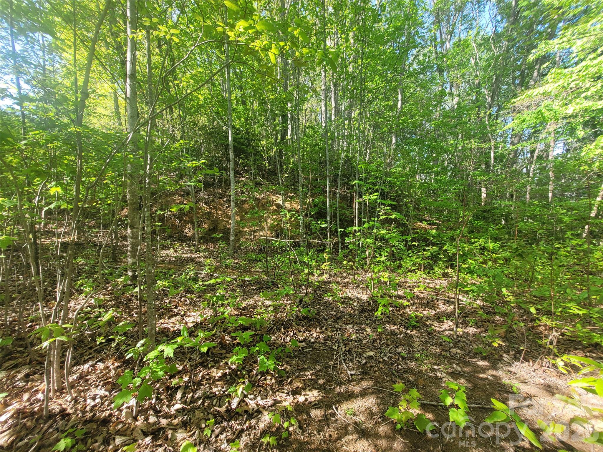 99999 Wolverine Court Waynesville NC 28785
