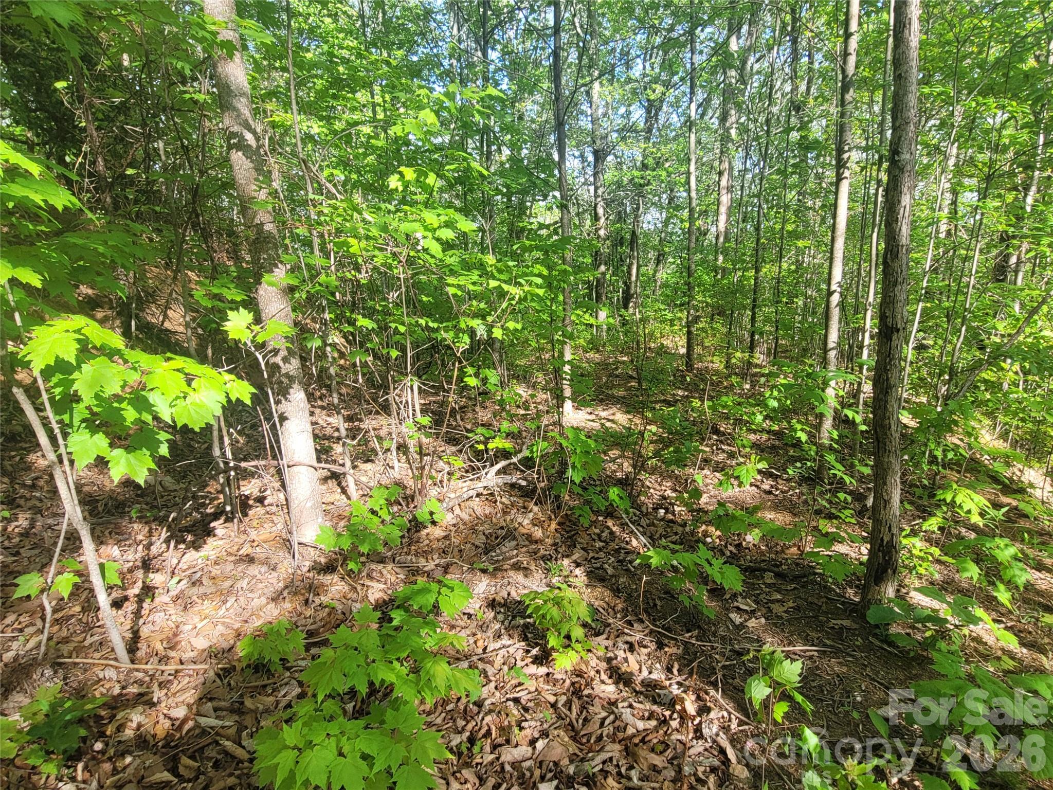 99999 Wolverine Court Waynesville NC 28785