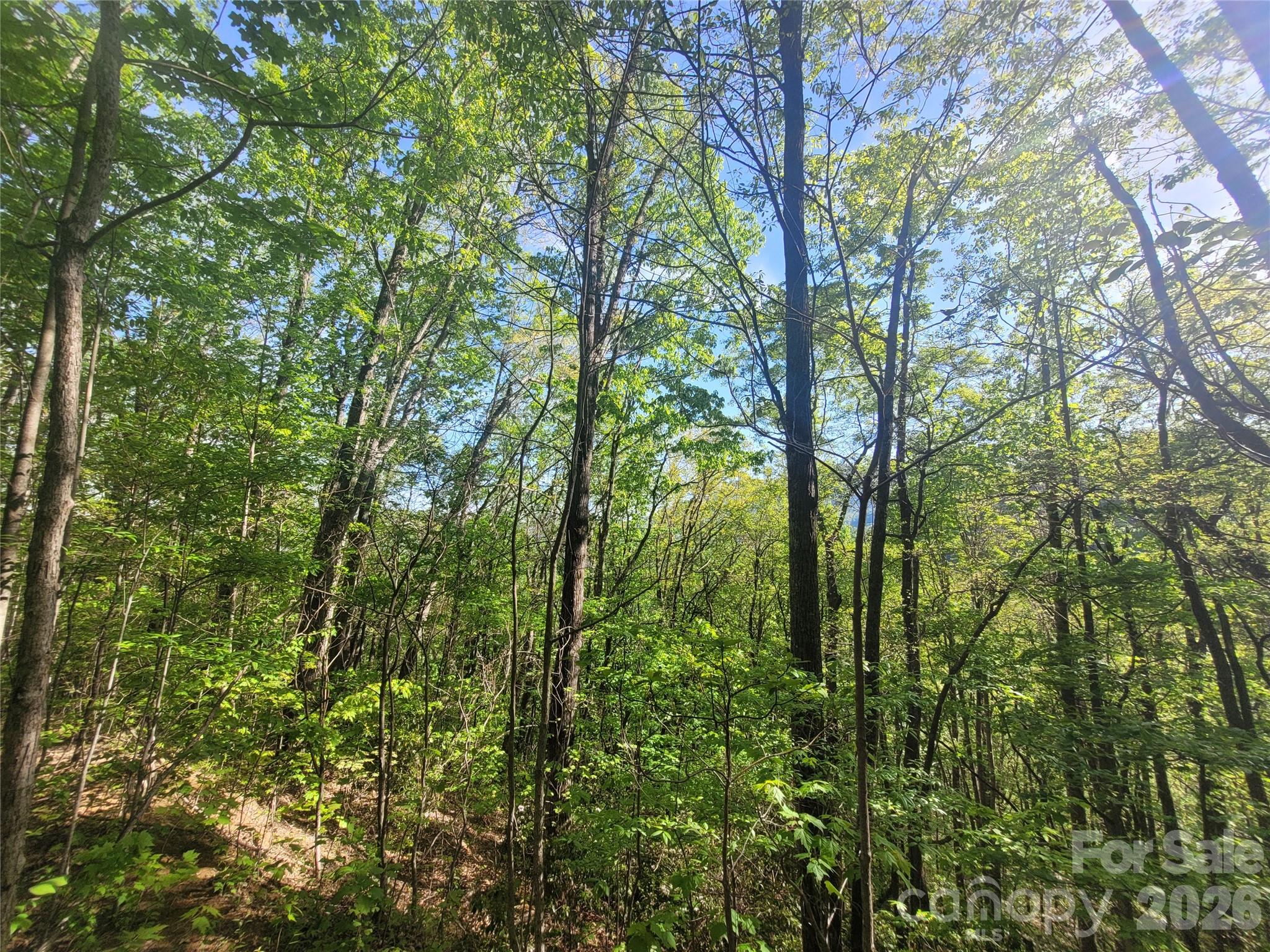 99999 Wolverine Court Waynesville NC 28785