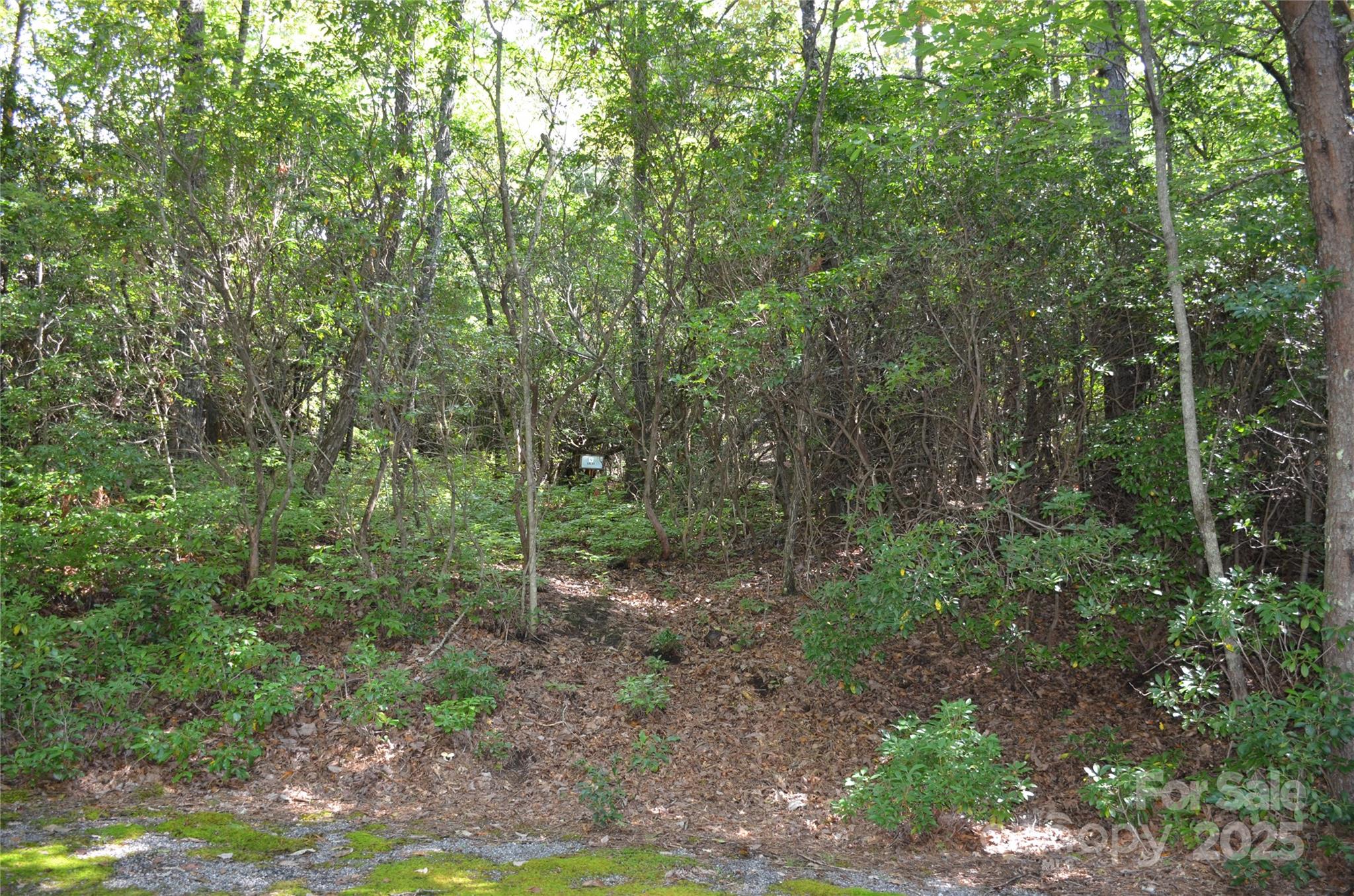 Lot 9 Galax Lane Brevard NC 28712