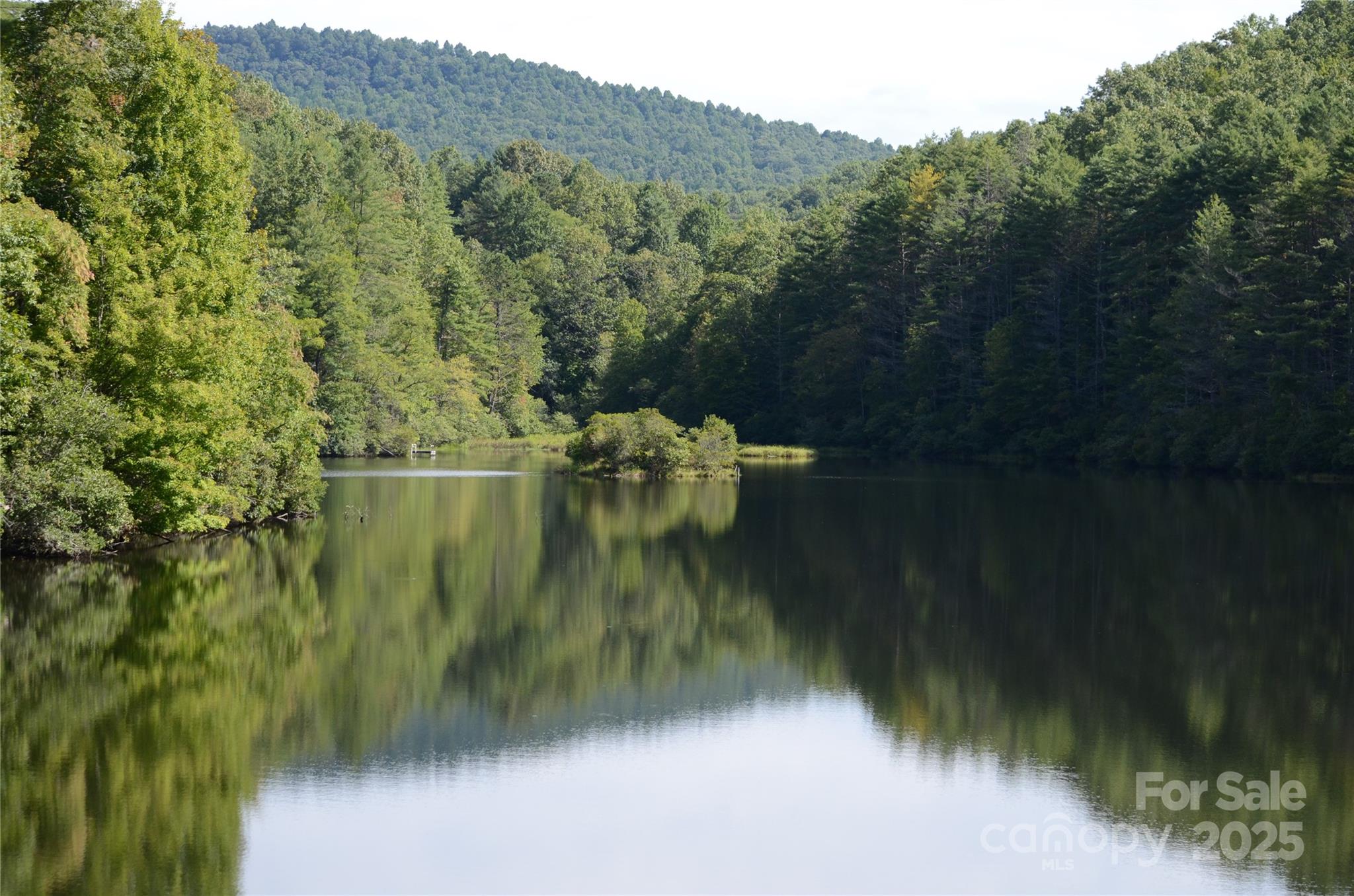 Lot 9 Galax Lane Brevard NC 28712
