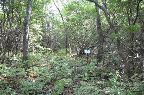 Lot 9 Galax Lane Brevard NC 28712