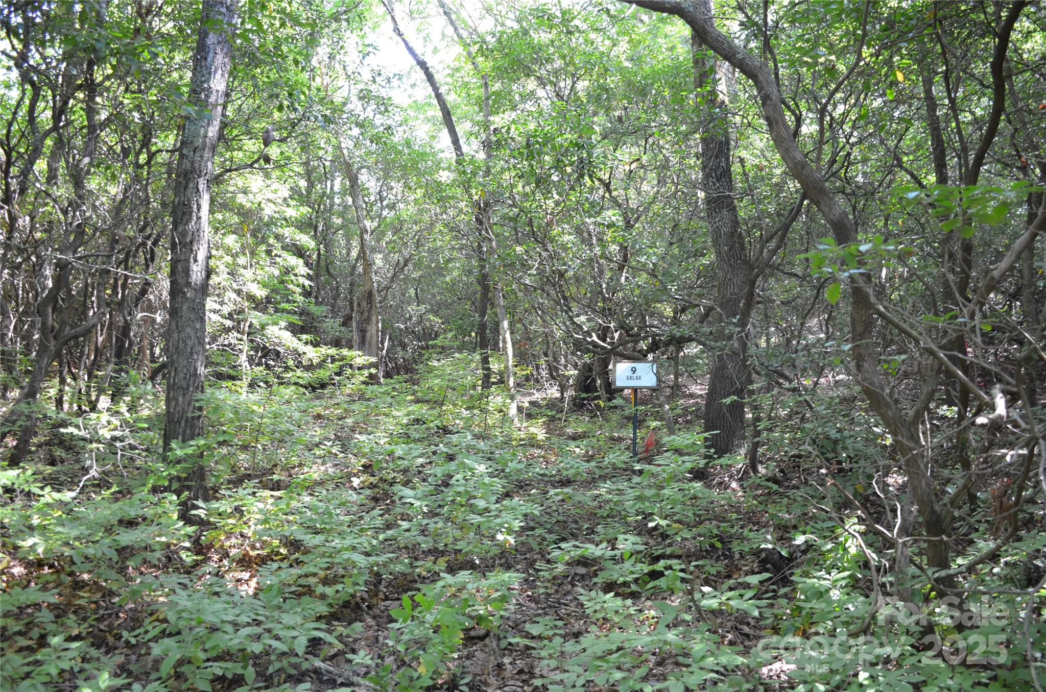 Lot 9 Galax Lane Brevard NC 28712