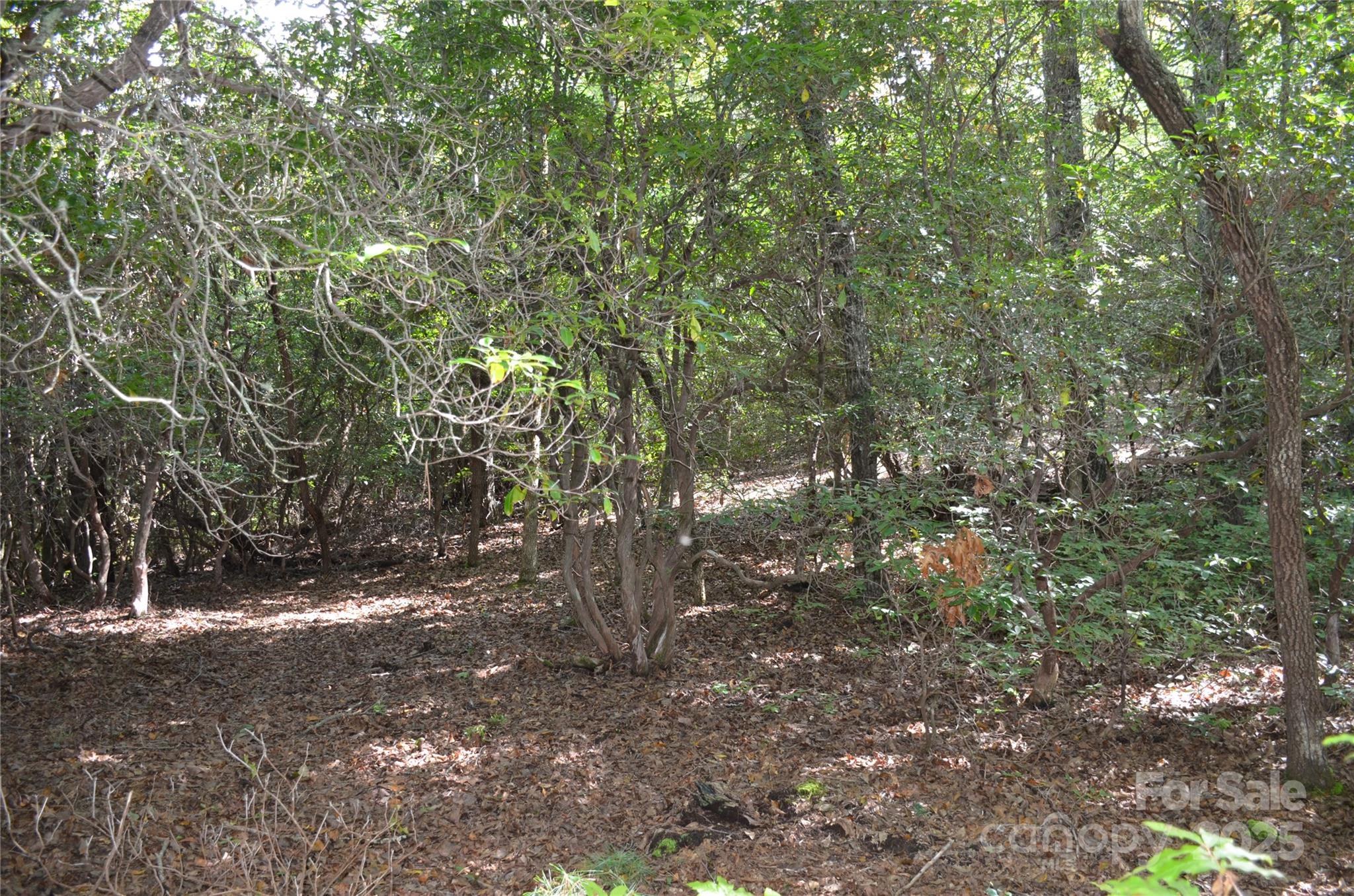 Lot 9 Galax Lane Brevard NC 28712