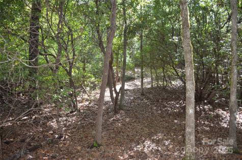 Lot 9 Galax Lane Brevard NC 28712