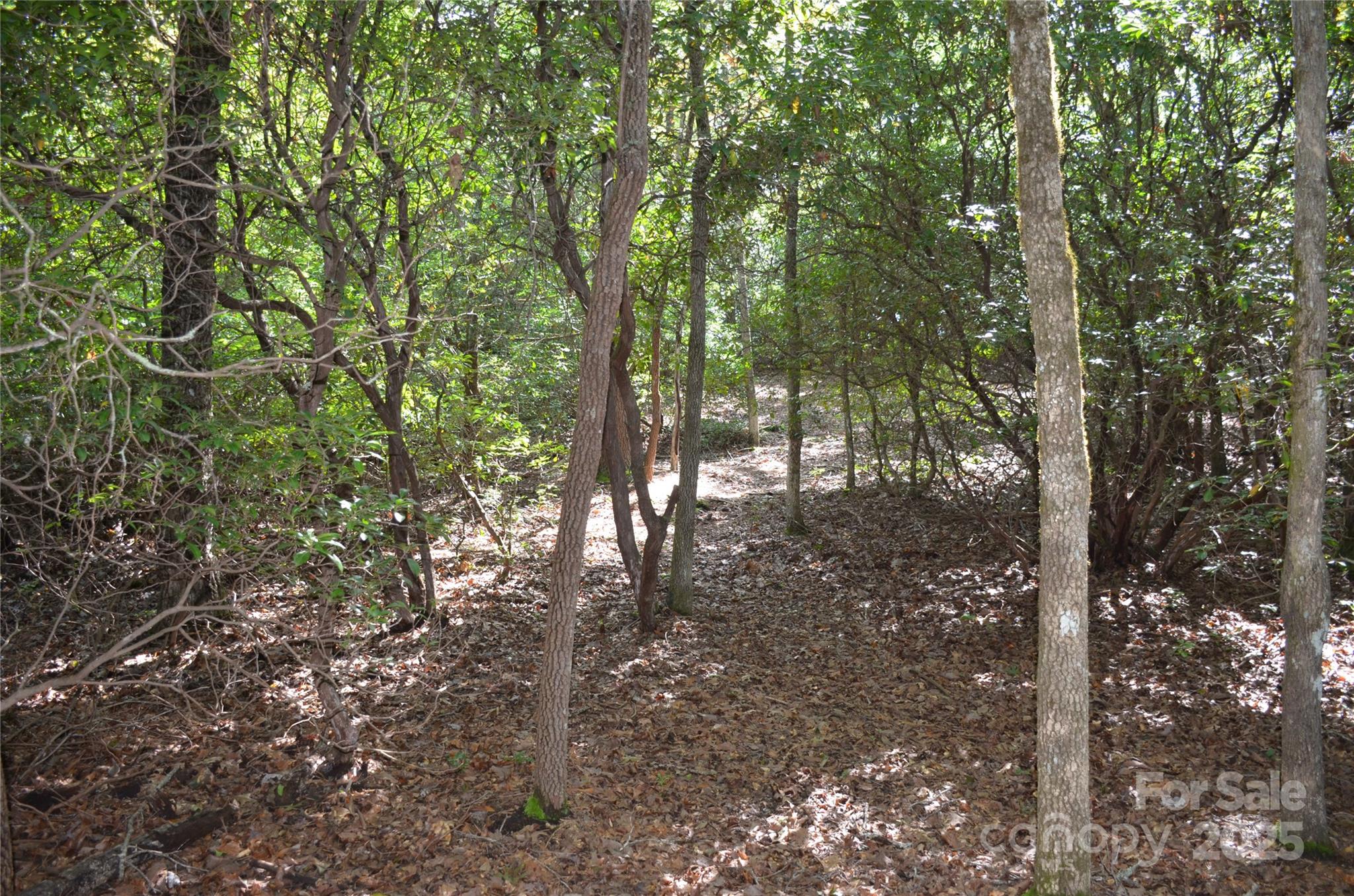 Lot 9 Galax Lane Brevard NC 28712