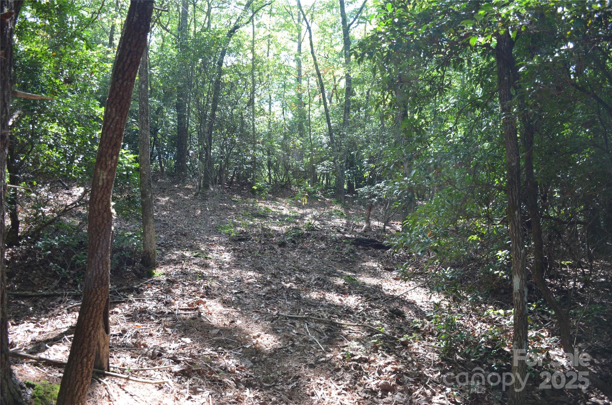 Lot 9 Galax Lane Brevard NC 28712