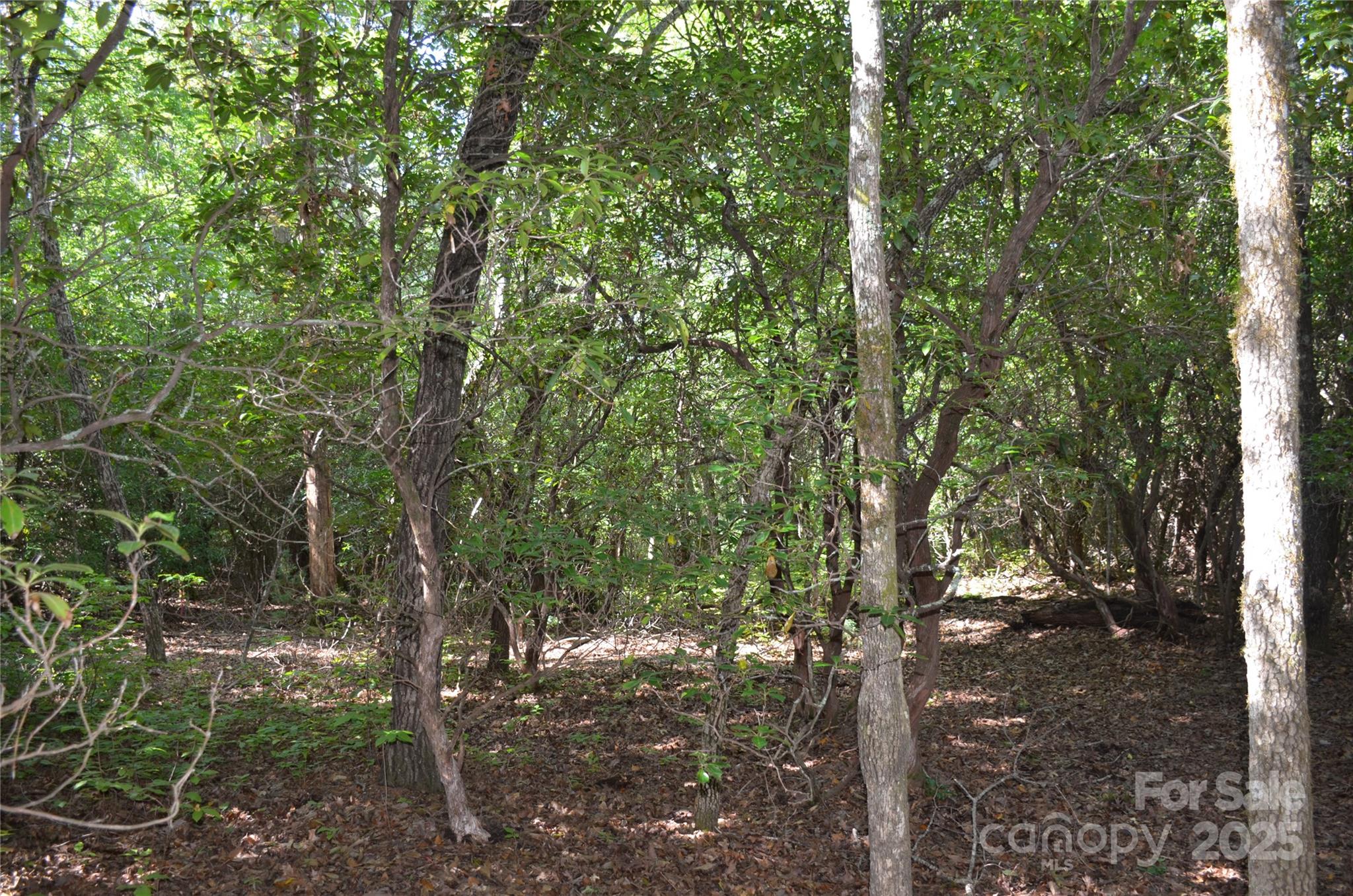 Lot 9 Galax Lane Brevard NC 28712