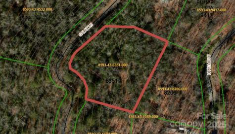 Lot 9 Galax Lane Brevard NC 28712
