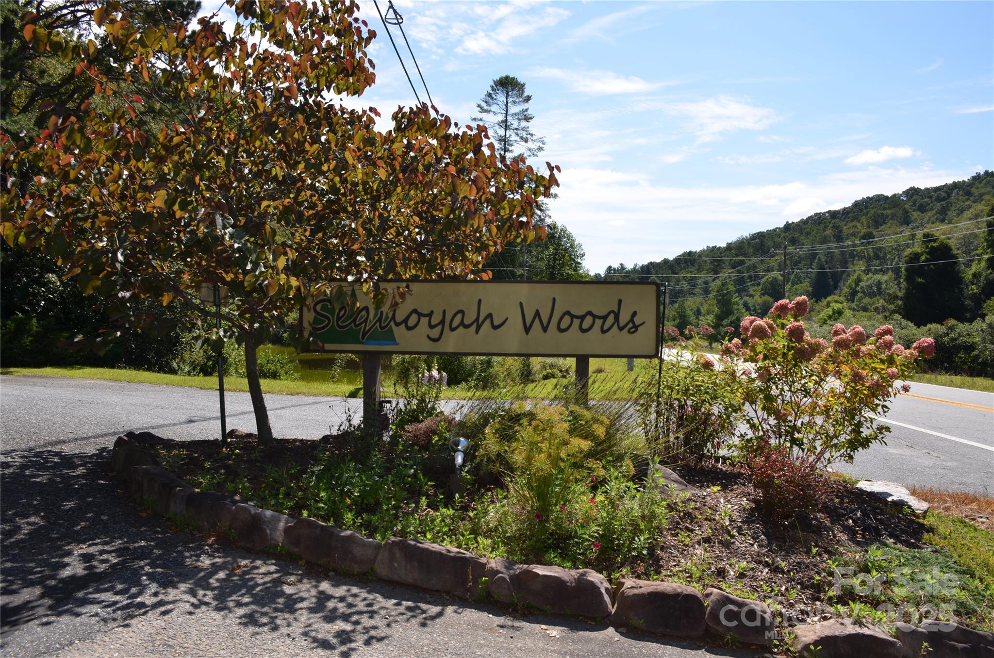 Lot 9 Galax Lane Brevard NC 28712