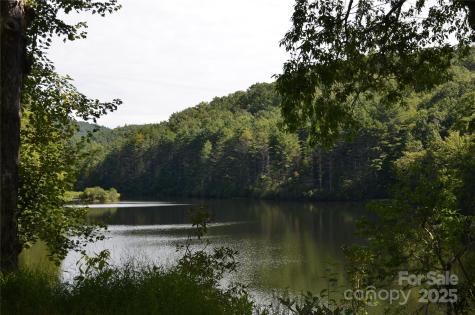 Lot 9 Galax Lane Brevard NC 28712