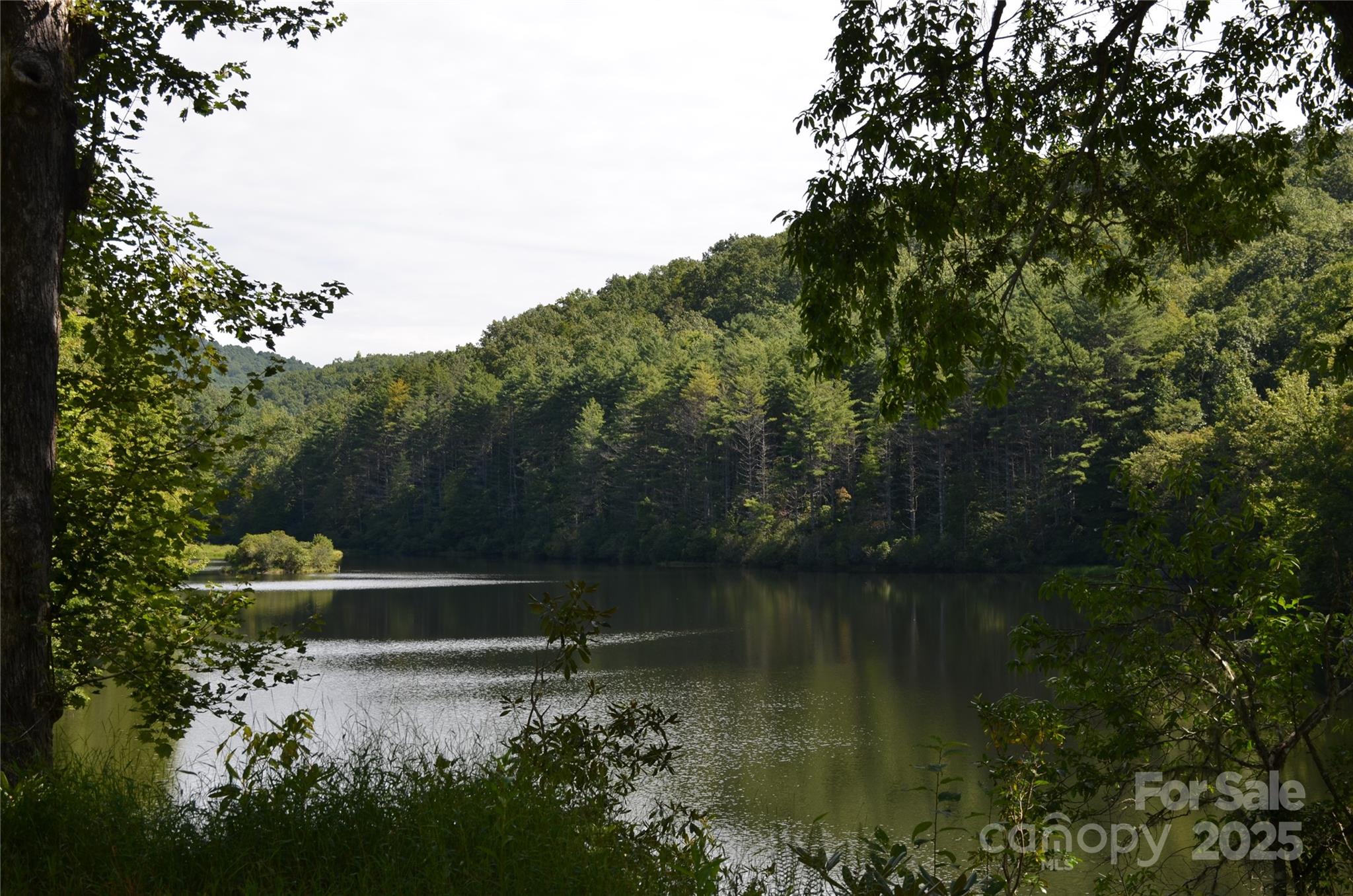 Lot 9 Galax Lane Brevard NC 28712