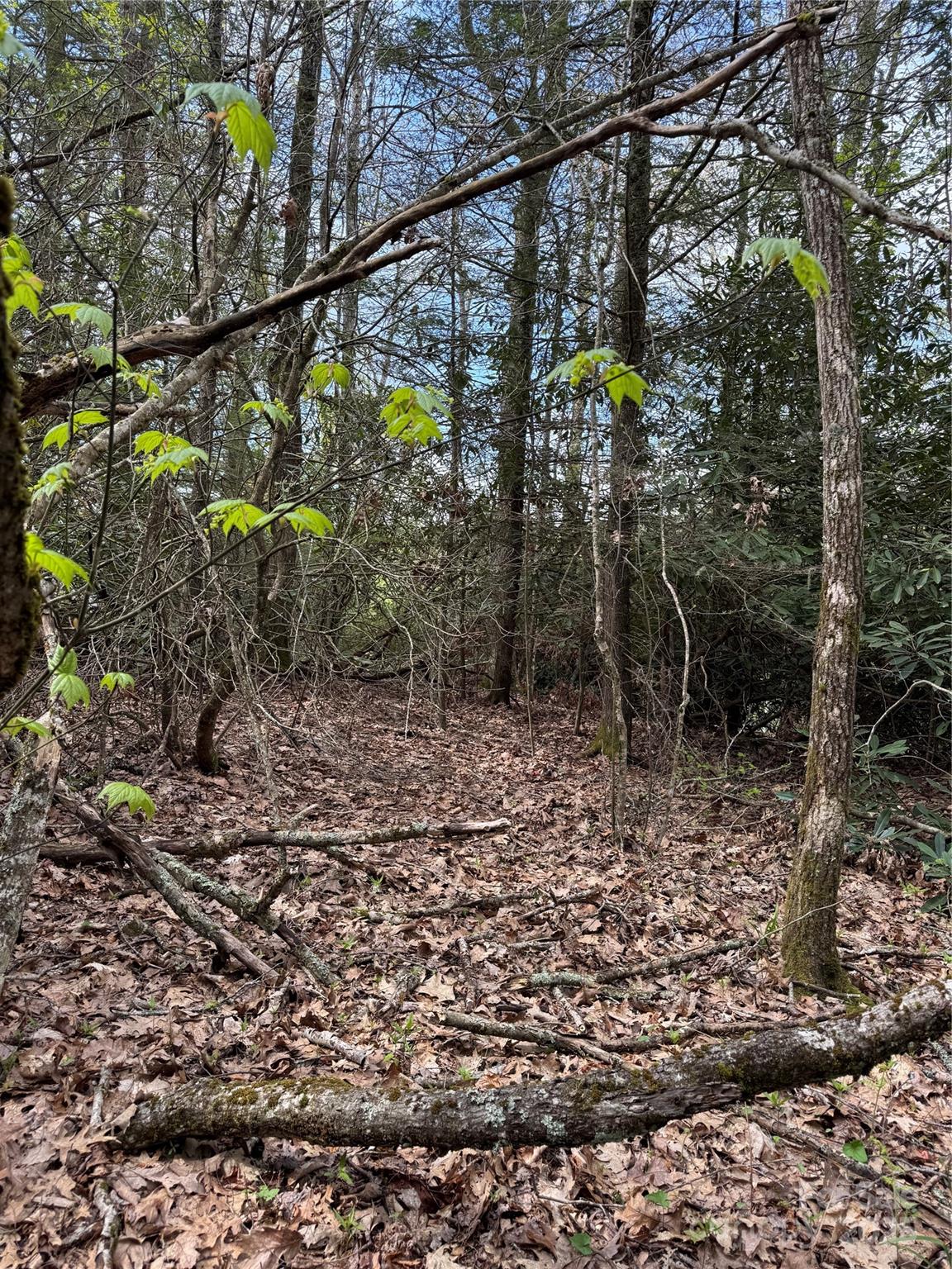 Tbd Black Bear Trail Linville NC 28646