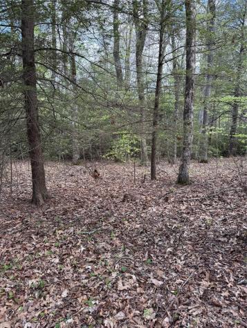 Tbd Black Bear Trail Linville NC 28646