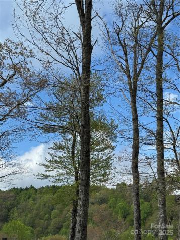 Tbd Black Bear Trail Linville NC 28646