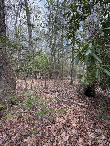Tbd Black Bear Trail Linville NC 28646
