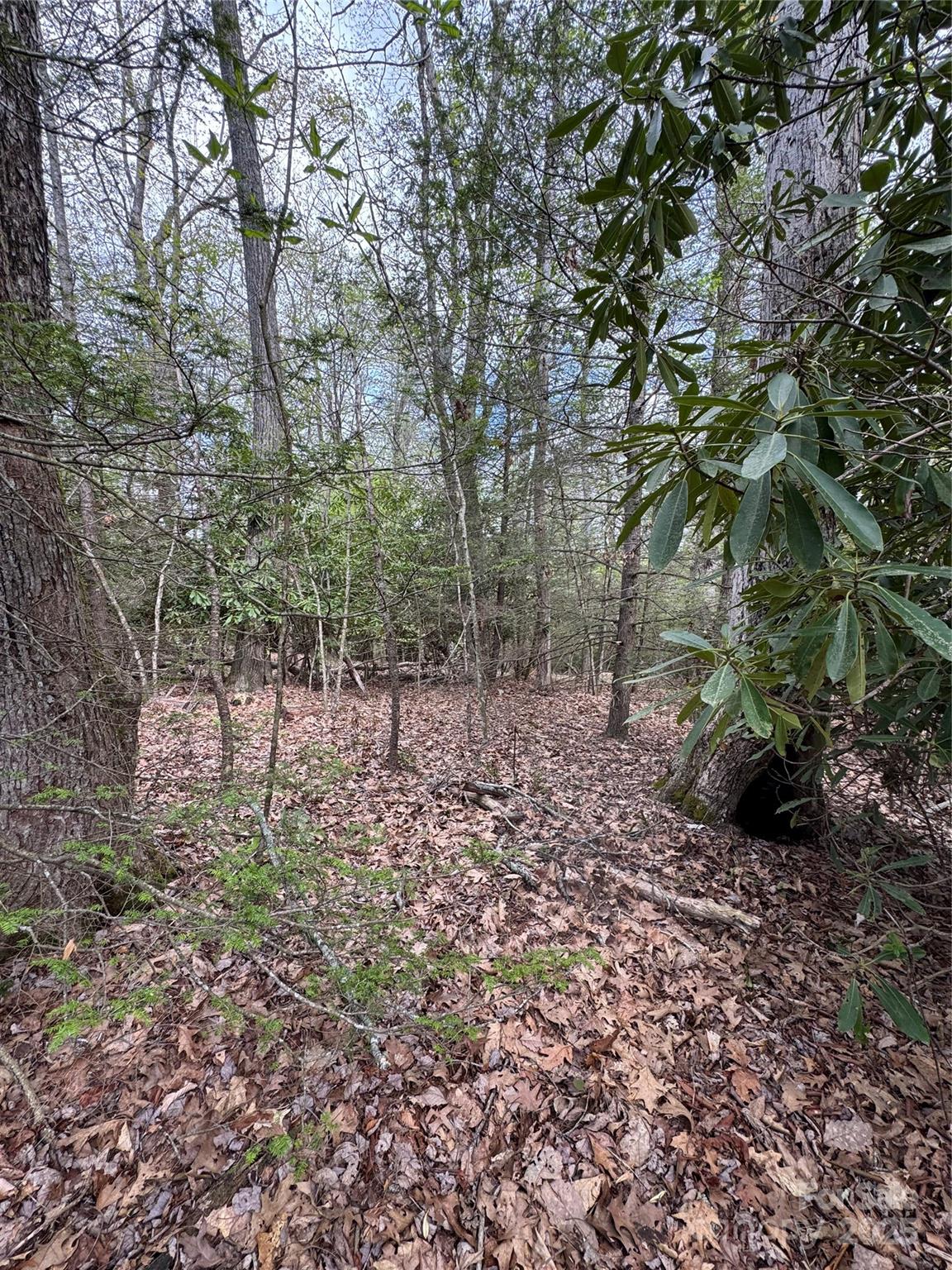 Tbd Black Bear Trail Linville NC 28646