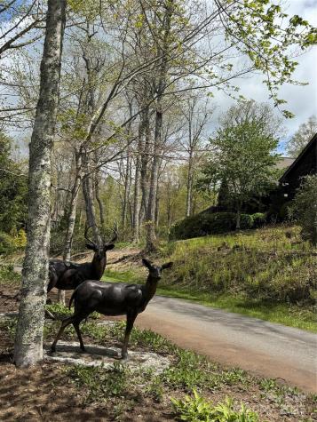Tbd Black Bear Trail Linville NC 28646