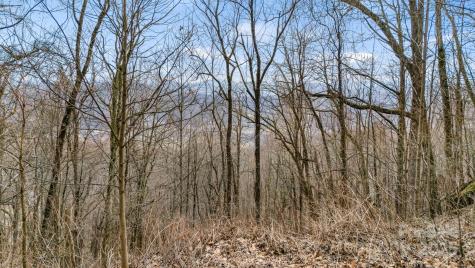 Tbd Live Oak Loop Waynesville NC 28785